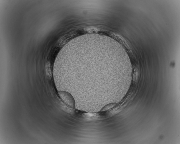 X0000097970477200804211016