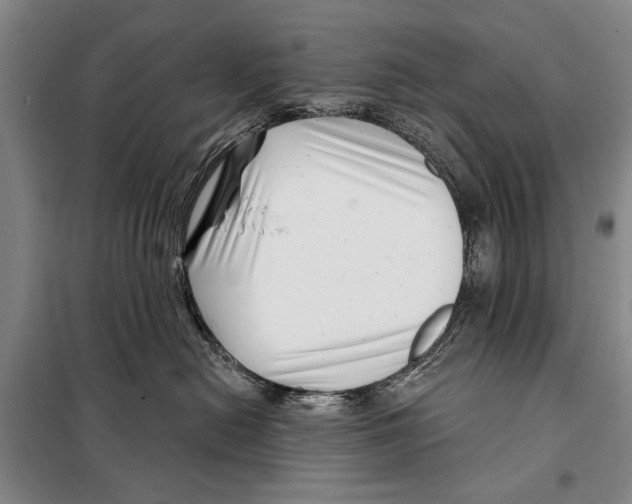 X0000097970478200804211016