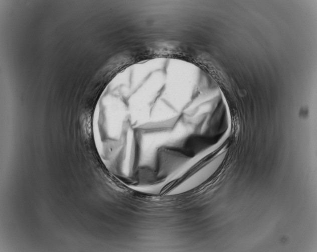 X0000097970479200804211016