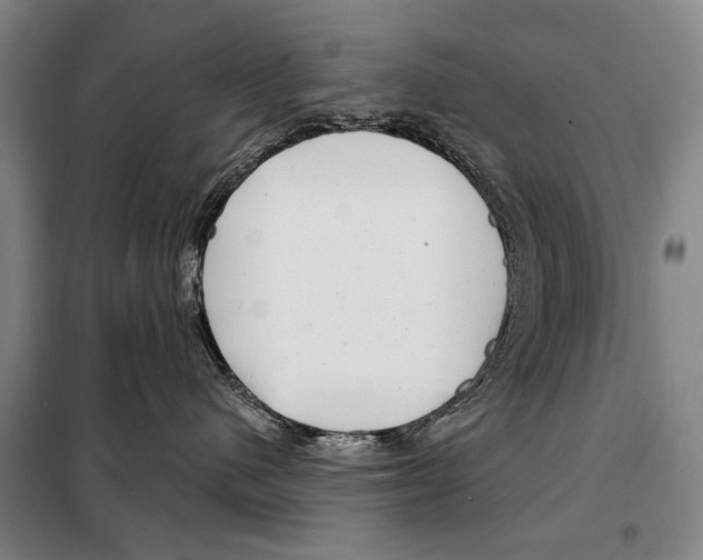 X0000097970480200804211016