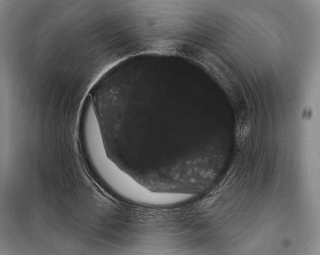 X0000097970484200804211015