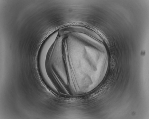 X0000097970485200804211015