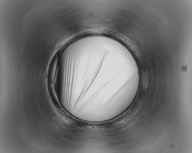 X0000097970486200804211015
