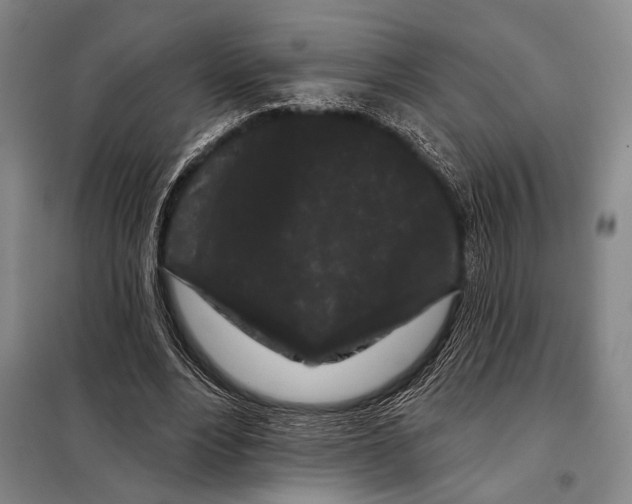 X0000097970488200804211015