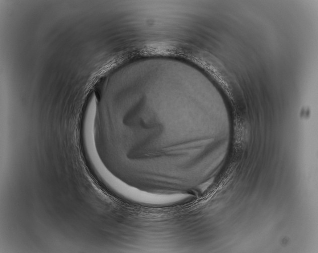 X0000097970489200804211015