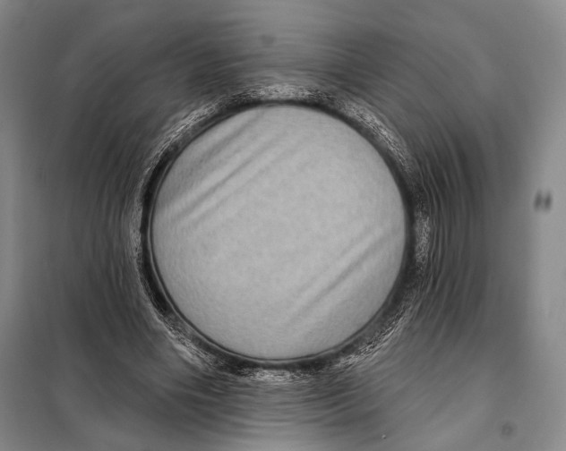 X0000097970490200804211015