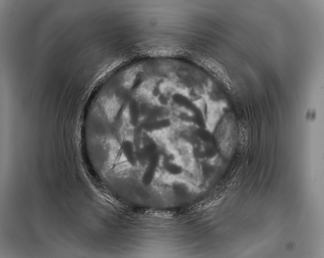 X0000097970491200804211015