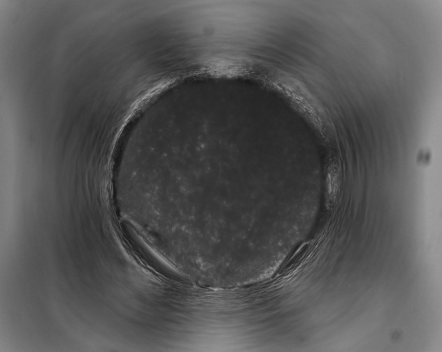 X0000097970492200804211015