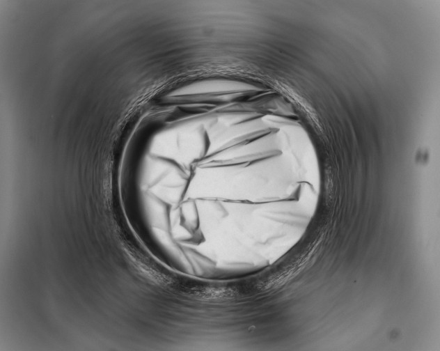 X0000097970493200804211015