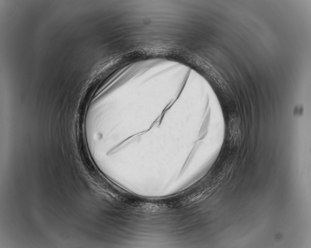 X0000097970494200804211015