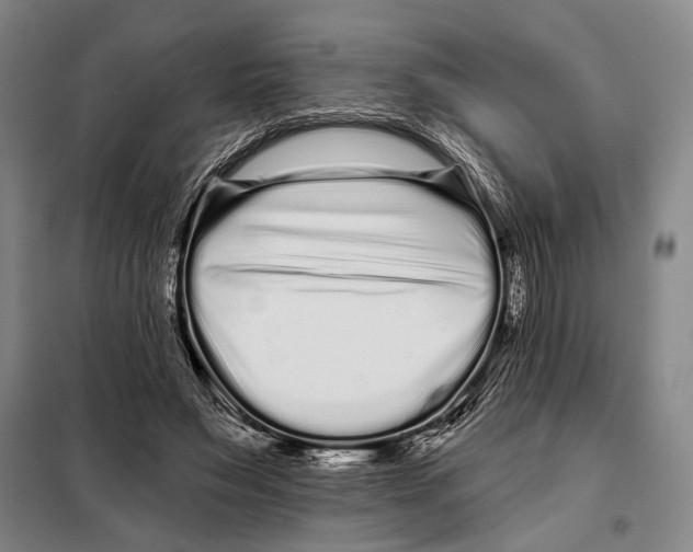 X0000097970495200804211015
