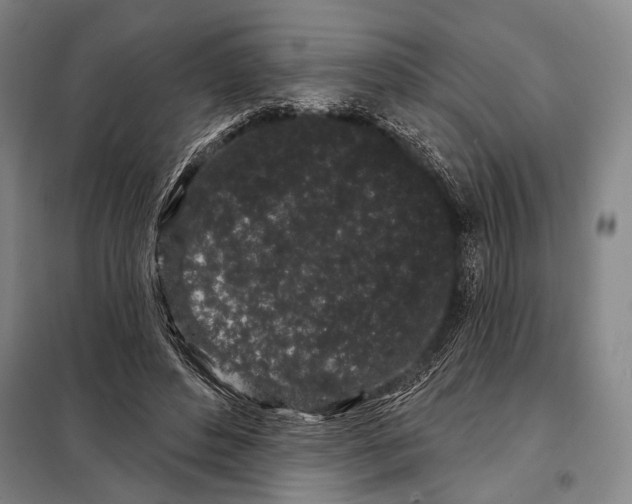 X0000097970496200804211015