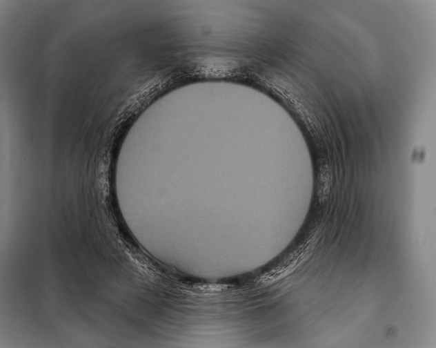 X0000097970497200804211015