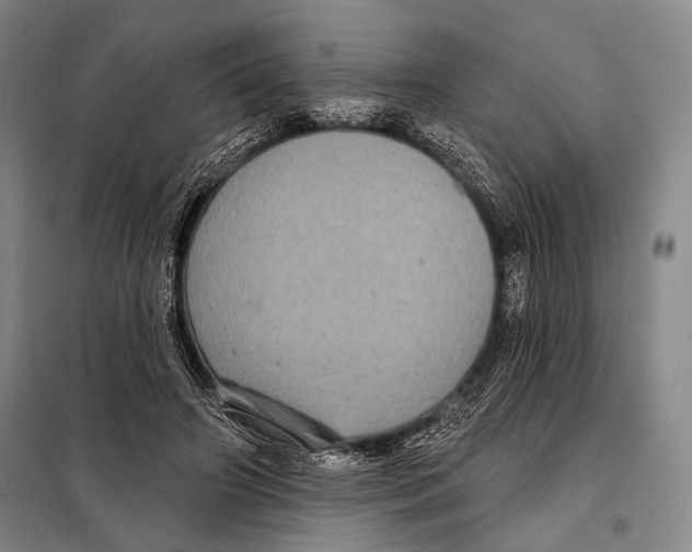 X0000097970498200804211015