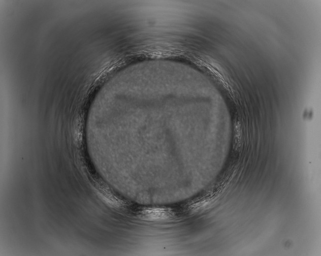X0000097970499200804211015