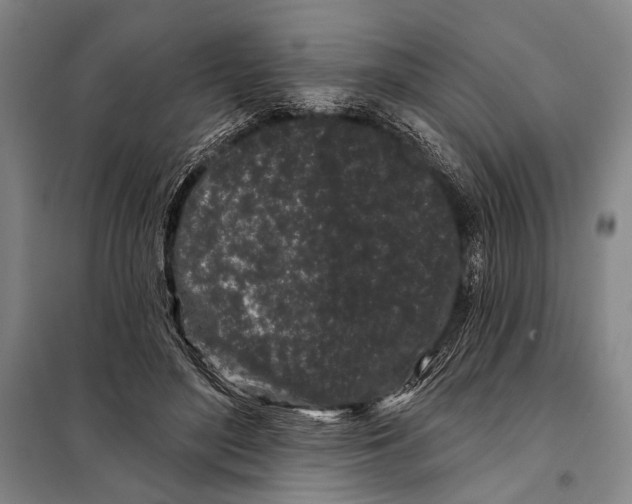 X0000097970500200804211015