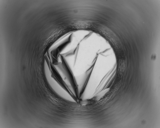 X0000097970501200804211015