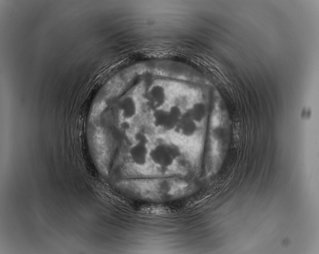X0000097970503200804211015