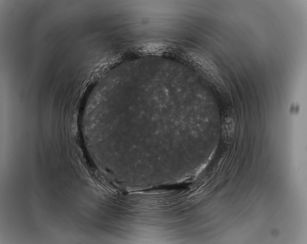 X0000097970504200804211015