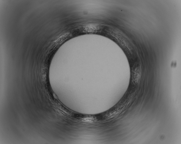 X0000097970505200804211015