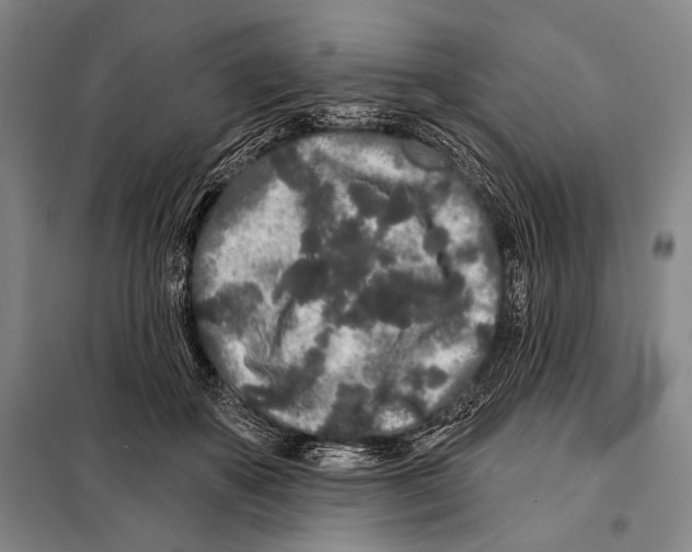 X0000097970507200804211015