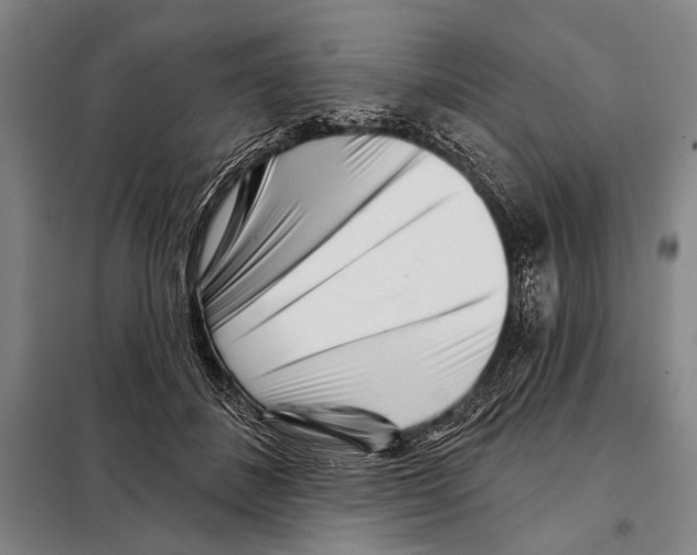 X0000097970508200804211015