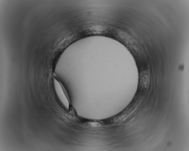 X0000097970509200804211015