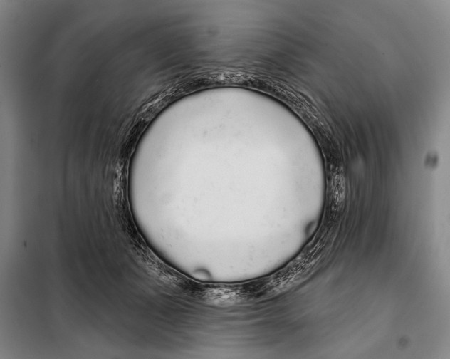 X0000097970511200804211015