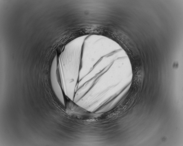 X0000097970513200804211015