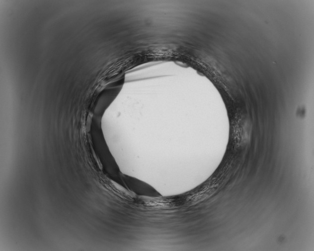 X0000097970516200804211015