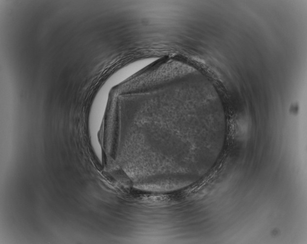 X0000097970517200804211015