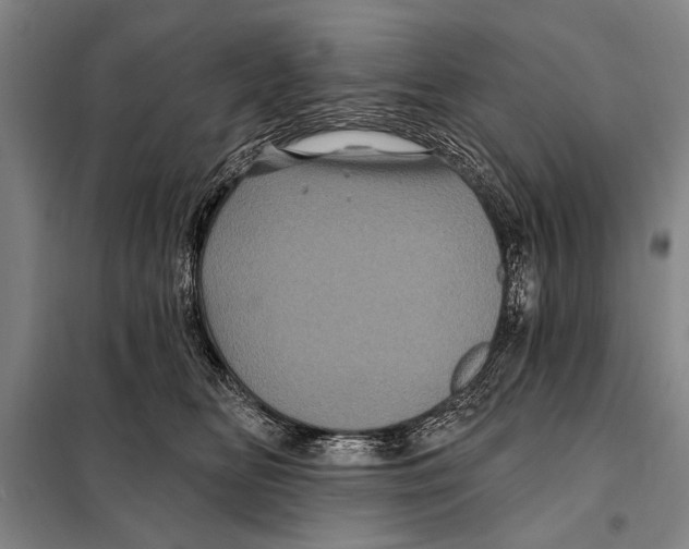 X0000097970518200804211015