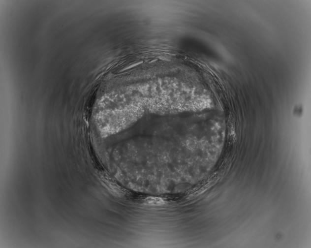 X0000097970519200804211015