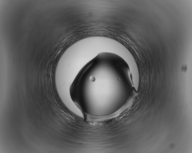 X0000097970520200804211015