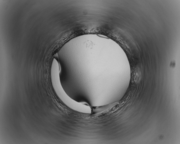 X0000097970521200804211015