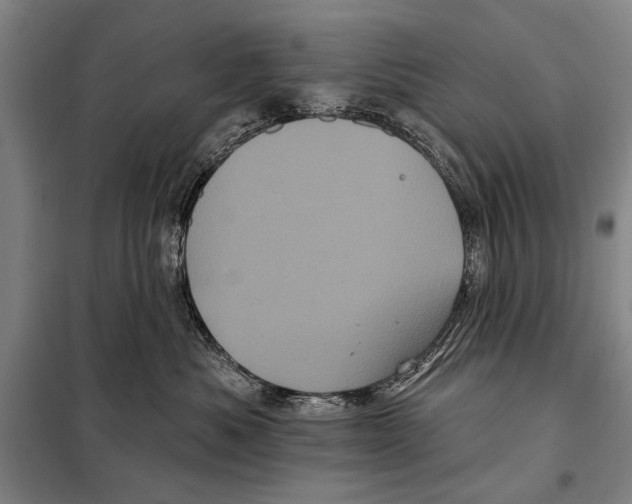 X0000097970525200804211015