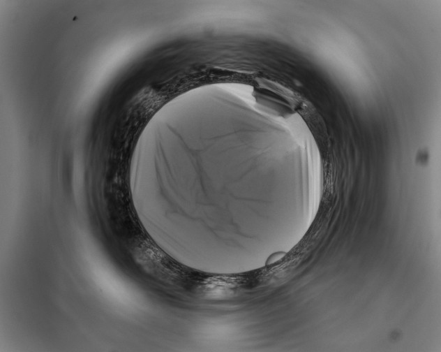 X0000097970526200804211015
