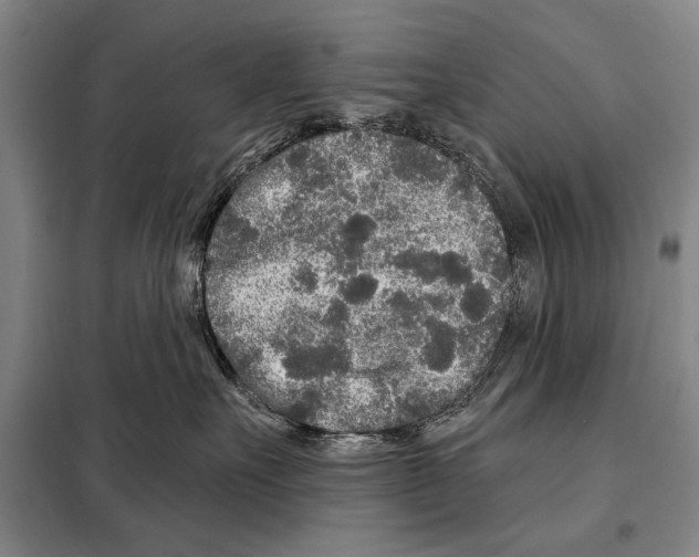 X0000097970527200804211015