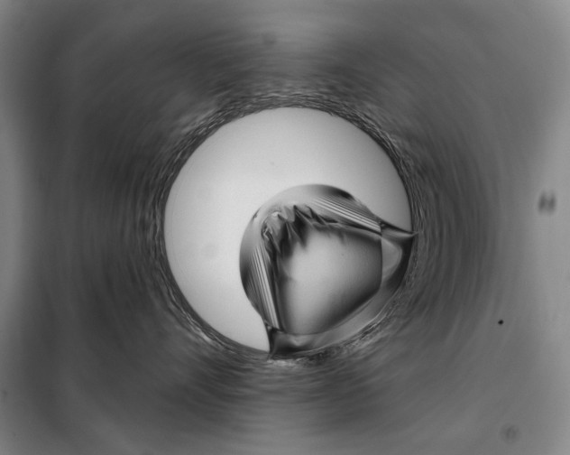 X0000097970528200804211015