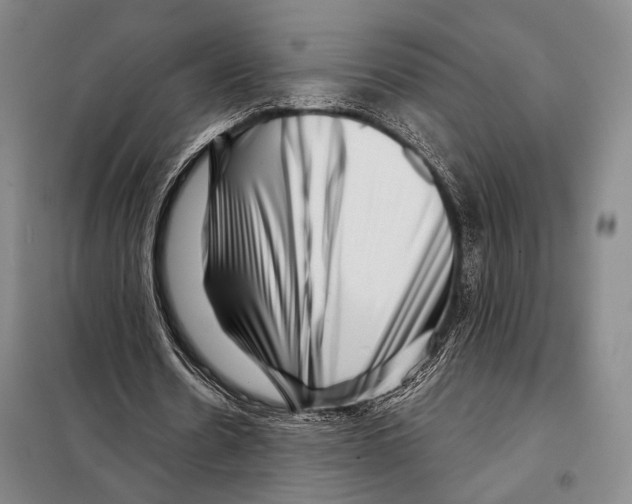 X0000097970530200804211014