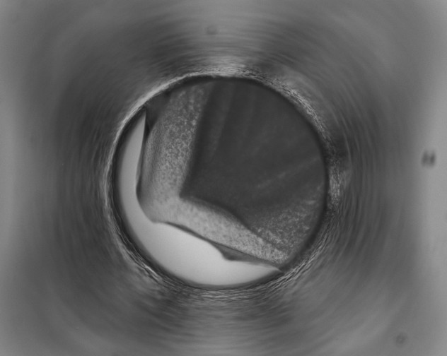 X0000097970532200804211014