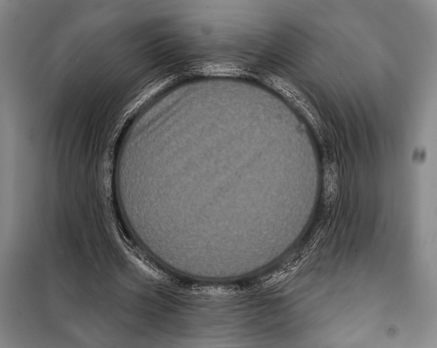 X0000097970533200804211014
