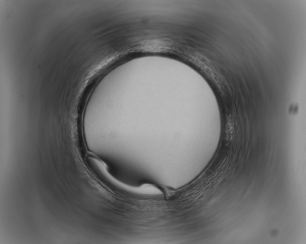 X0000097970535200804211014