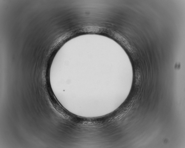 X0000097970538200804211014