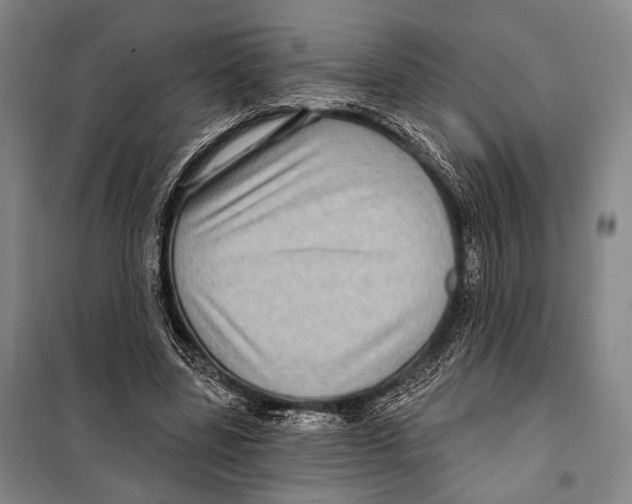 X0000097970539200804211014