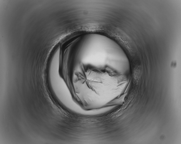 X0000097970540200804211014