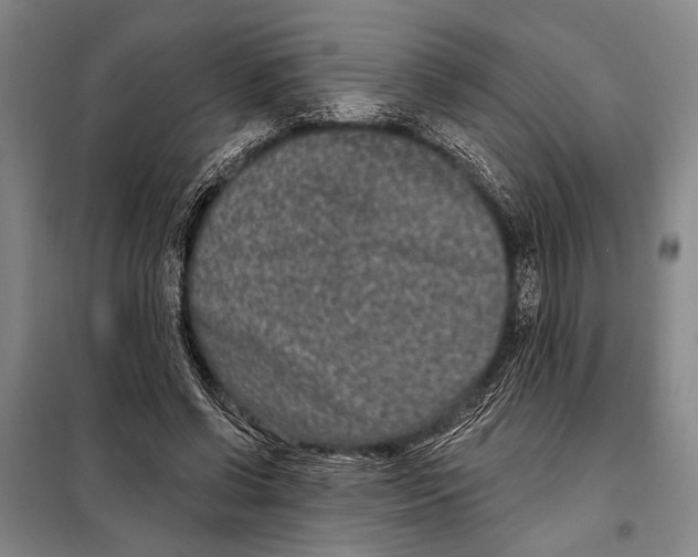 X0000097970542200804211014