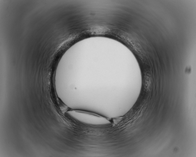 X0000097970543200804211014
