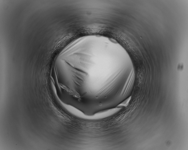 X0000097970546200804211014