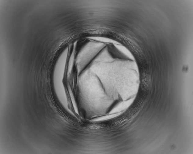 X0000097970547200804211014